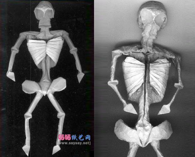 MarcKirschenbaum人体骨架手工折纸图解教程