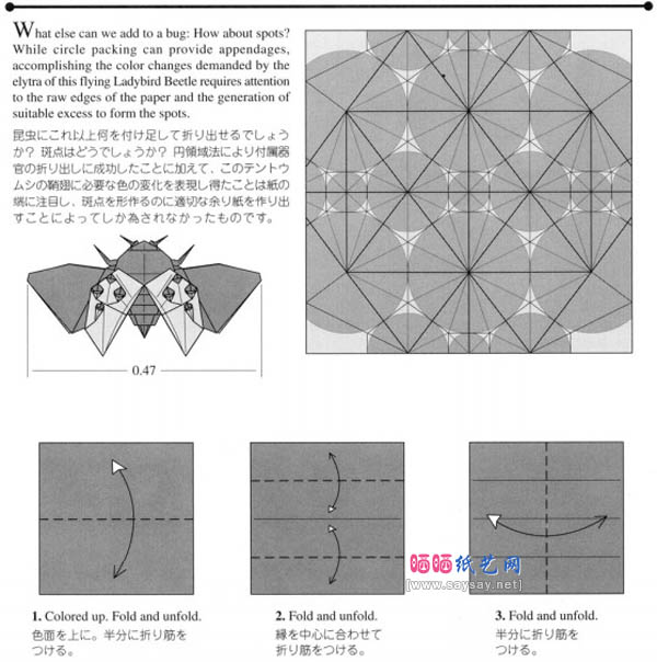 昆虫折纸教程之飞行的瓢虫折纸方法详细步骤