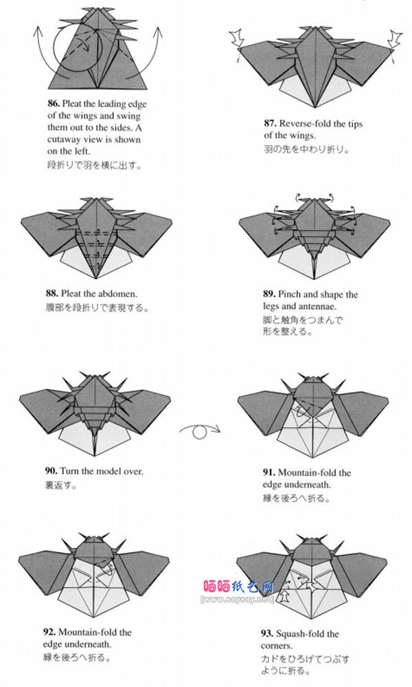 昆虫折纸教程之飞行的瓢虫折纸方法详细步骤