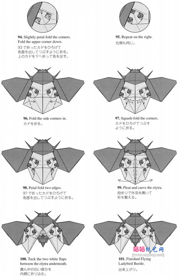 昆虫折纸教程之飞行的瓢虫折纸方法详细步骤
