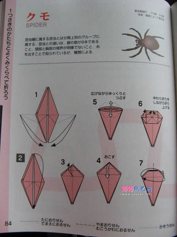 蜘蛛纸艺教程之山田胜久折纸蜘蛛的折法