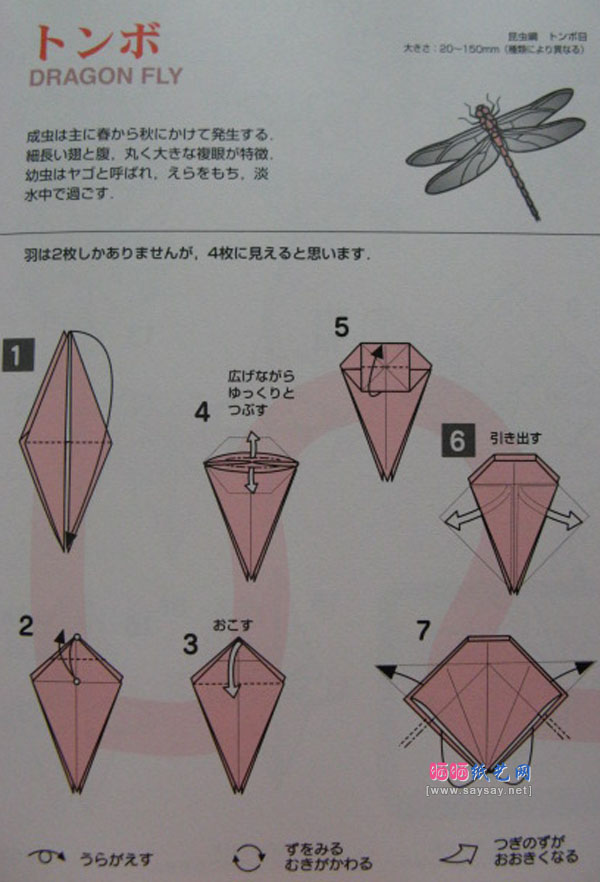 山田胜久手工折纸蜻蜓的详细方法步骤