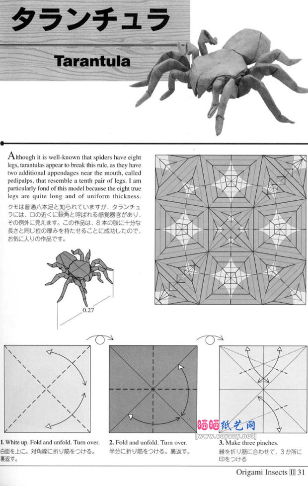 RobertJLang的手工折纸狼蛛的折法图谱教程图片步骤1