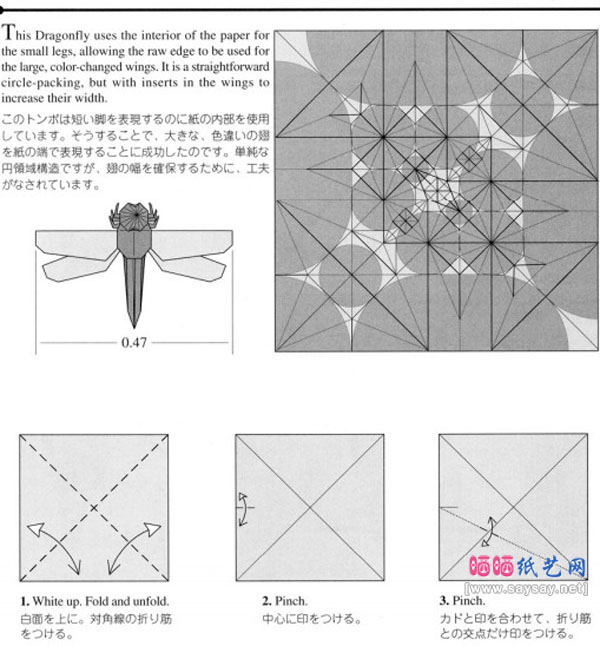 昆虫折纸大全 逼真蜻蜓手工折纸图谱教程图片步骤1