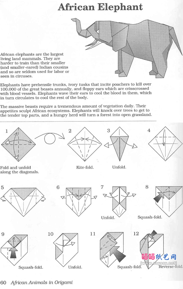 动物折纸系列之纸艺大象的折法图谱教程图片步骤1