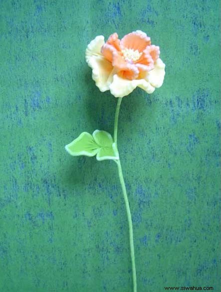 扭扭棒制作丝网牡丹花DIY制作教程