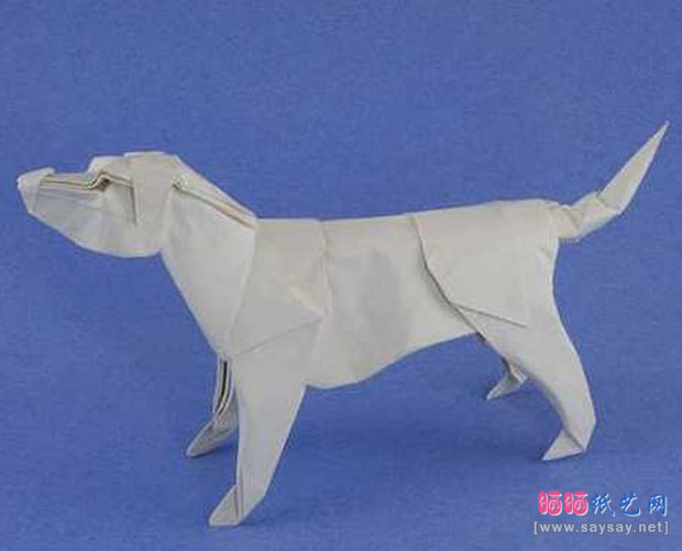 拉布拉多犬的折纸图谱教程成品图