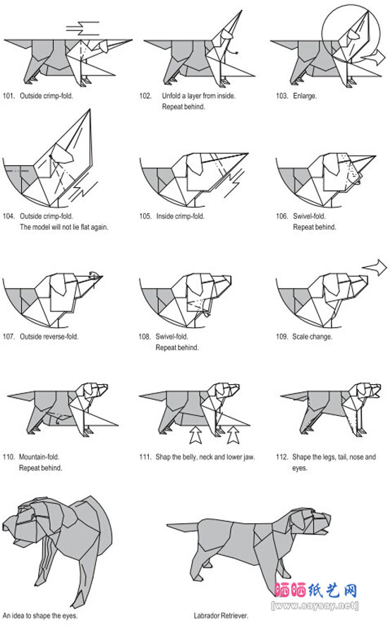 拉布拉多犬的折纸图谱教程图片步骤10