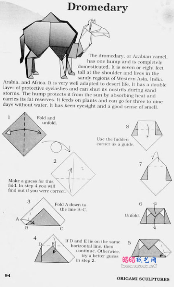 JohnMontroll折纸教程大全之单峰骆驼折纸方法步骤图片1