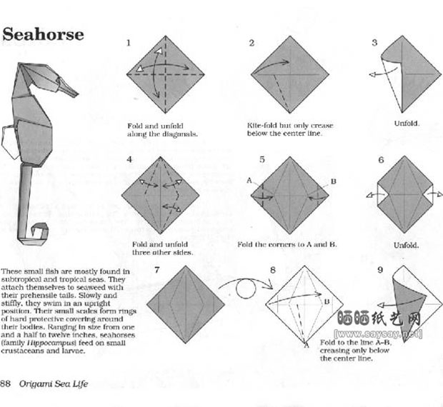 罗伯特朗折纸教程海马的折法教程图片步骤1
