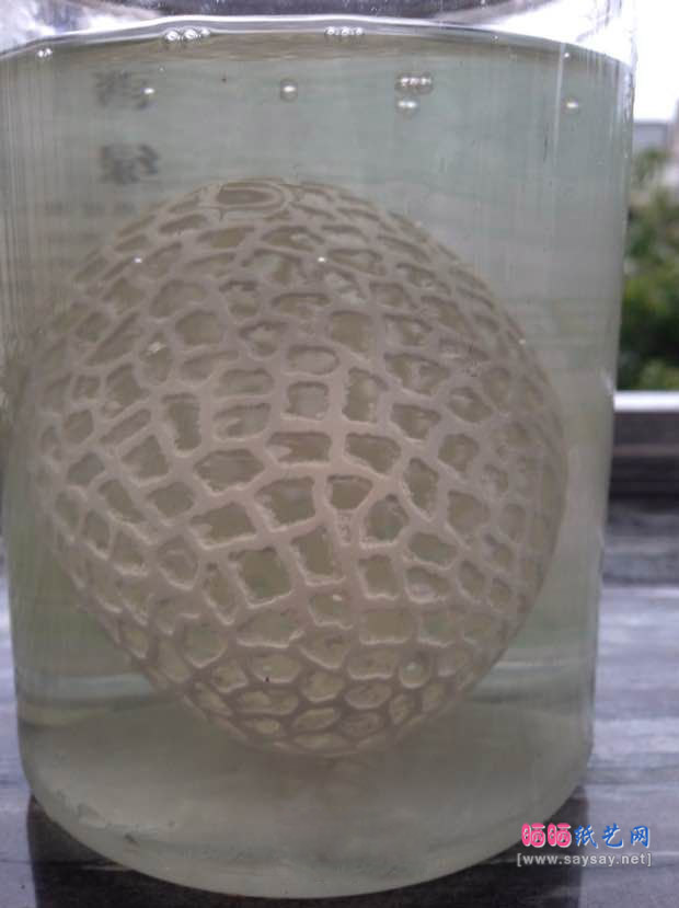 鹅蛋制作精致镂空蛋笼装饰品 第1步