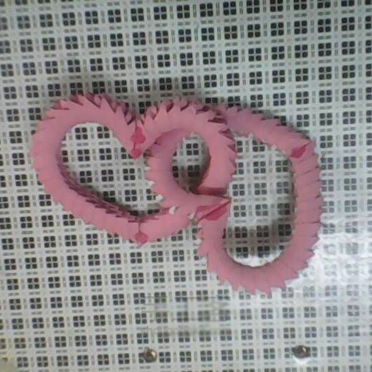 三角插的制作双心环的折纸方法教程