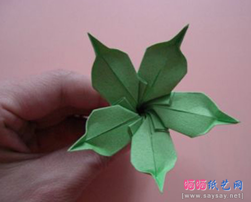 实拍折纸教程玫瑰花托的折纸方法图片步骤16