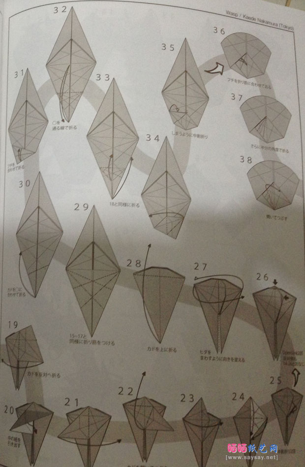 中村枫纸艺教程之黄蜂折纸图谱教程图片步骤2