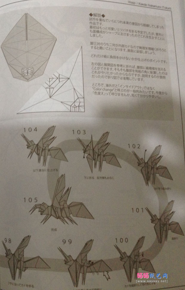 中村枫纸艺教程之黄蜂折纸图谱教程图片步骤6