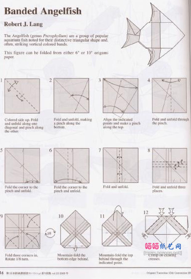 RobertJLang手工折纸神仙鱼的方法教程图片步骤1