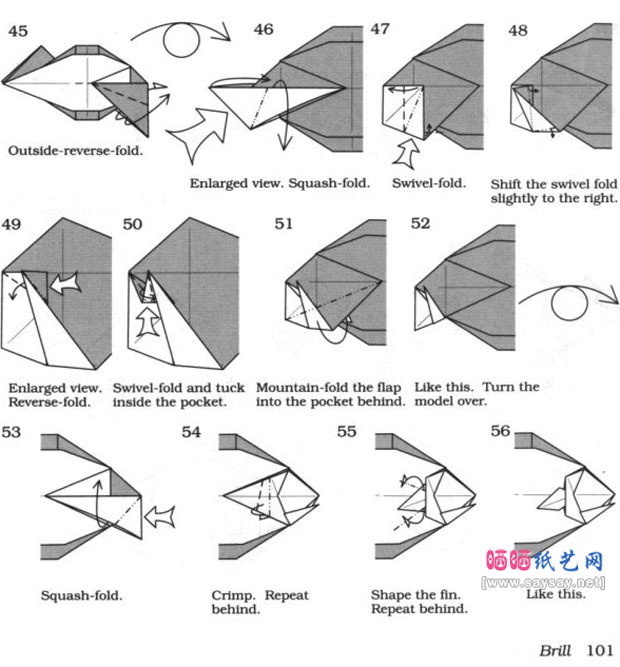RobertJLang折纸教程比目鱼的折法图片步骤5