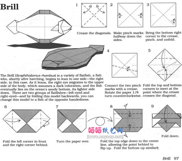 RobertJLang折纸教程比目鱼的折法图片步骤1