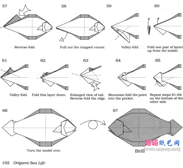 RobertJLang折纸教程比目鱼的折法图片步骤6