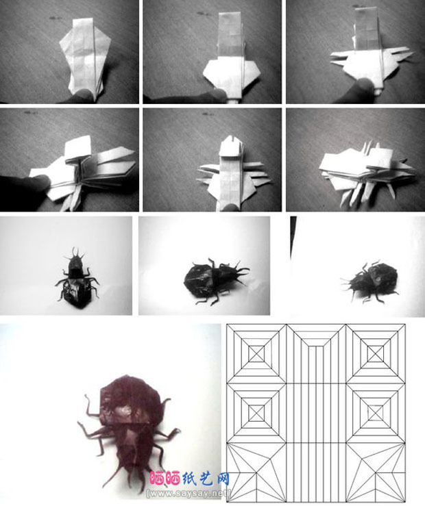 自然界清道夫蜣螂折纸教程图片步骤3