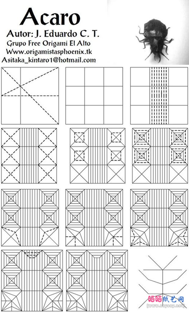 自然界清道夫蜣螂折纸教程图片步骤1