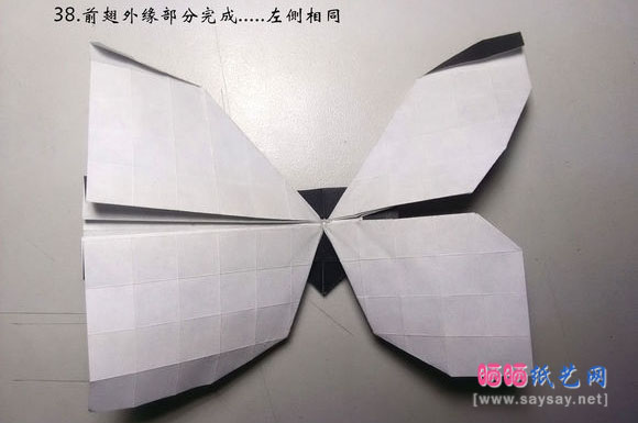 今井幸木折纸菜粉蝶的折法CP实拍教程