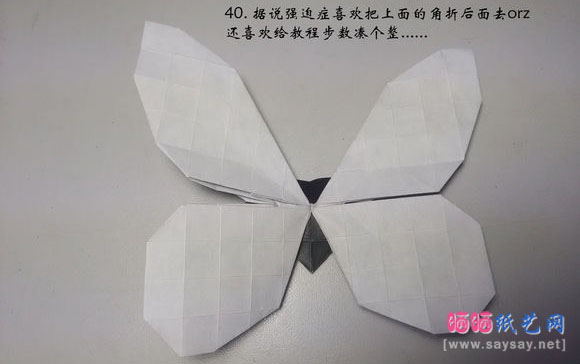 今井幸木折纸菜粉蝶的折法CP实拍教程
