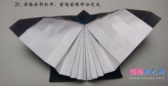 今井幸木折纸菜粉蝶的折法CP实拍教程