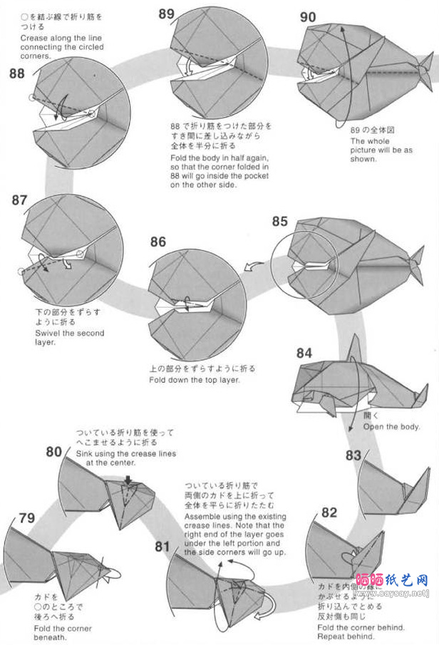 神谷哲史的虎鲸折纸教程图片8