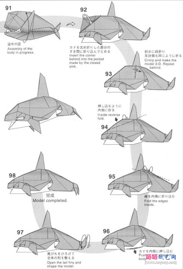 神谷哲史的虎鲸折纸教程图片9