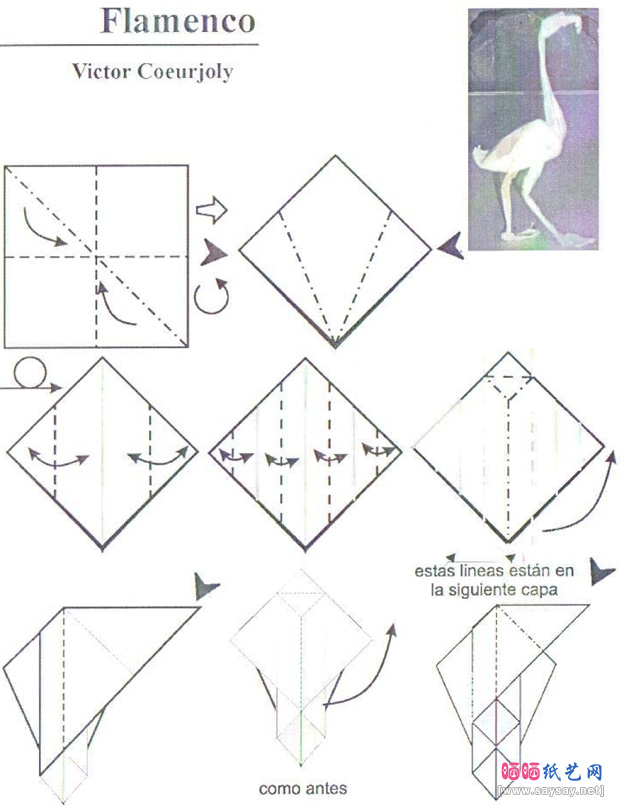 VictorCoeurjoly的火烈鸟折纸图谱教程图片步骤1-www.saybb.net