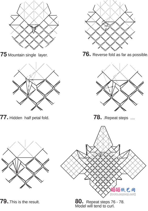 StevenCasey的针鼹折纸图谱教程-www.saybb.net