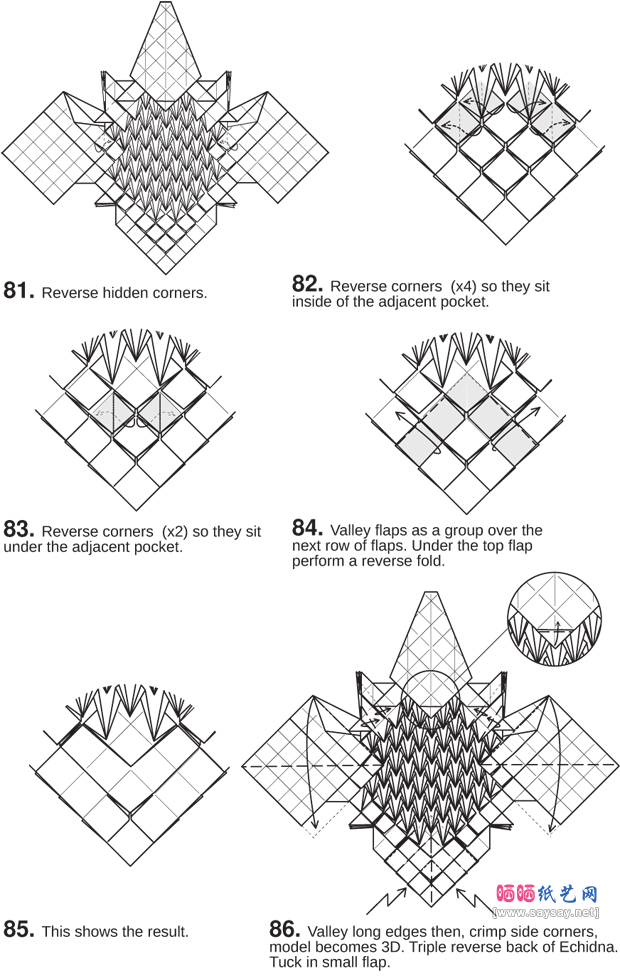 StevenCasey的针鼹折纸图谱教程-www.saybb.net