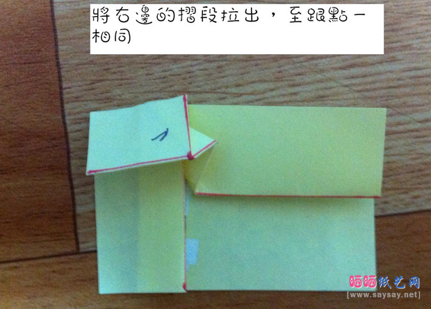 穿山甲折纸CP+实拍教程图片步骤6-www.saybb.net