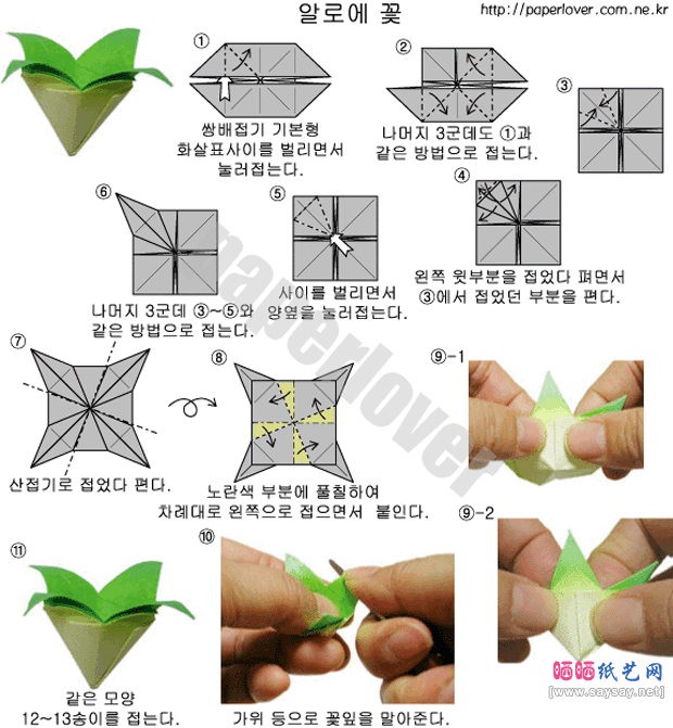 凤梨花折纸教程步骤1-www.saybb.net