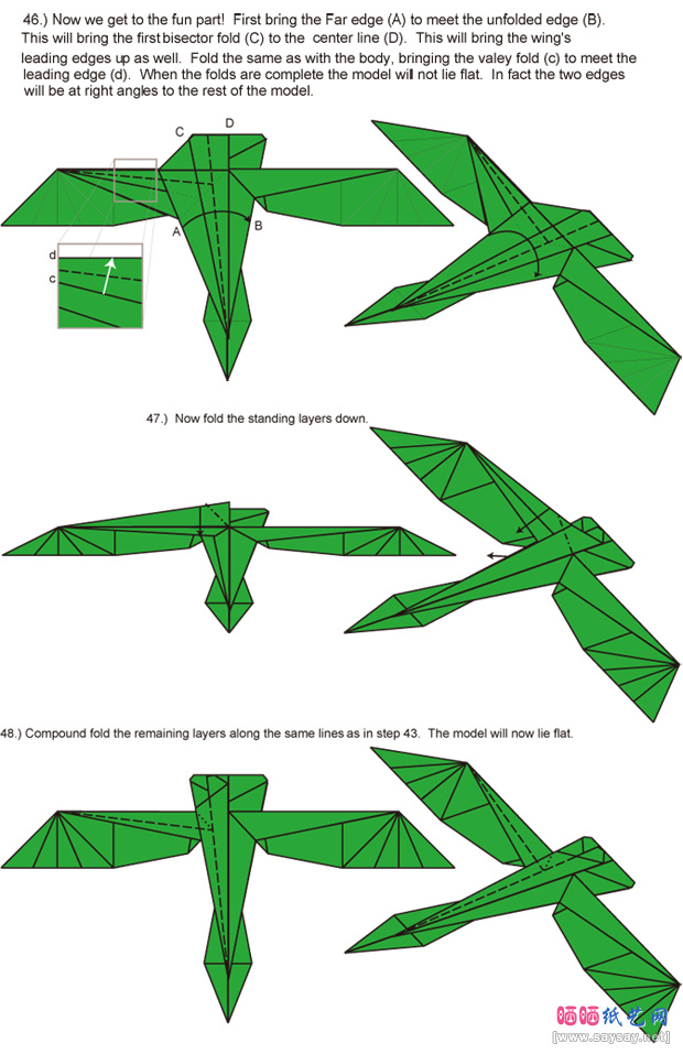 CharlesEsseltine的飞龙折纸图谱折纸步骤7-www.saybb.net