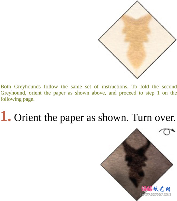 SethFriedman的灵提犬折纸图谱教程步骤1-www.saybb.net
