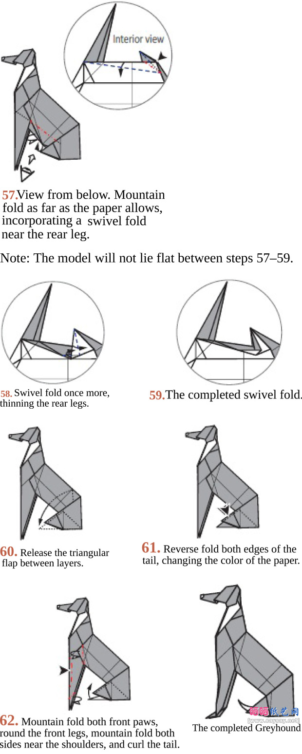 SethFriedman的灵提犬折纸图谱教程步骤12-www.saybb.net