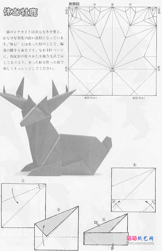 前川淳的卧鹿折纸图谱教程步骤1-www.saybb.net