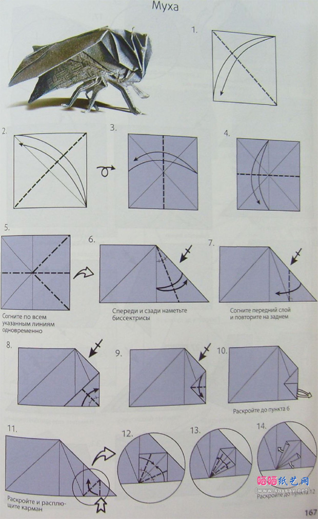 苍蝇手工折纸图谱教程步骤1-www.saybb.net