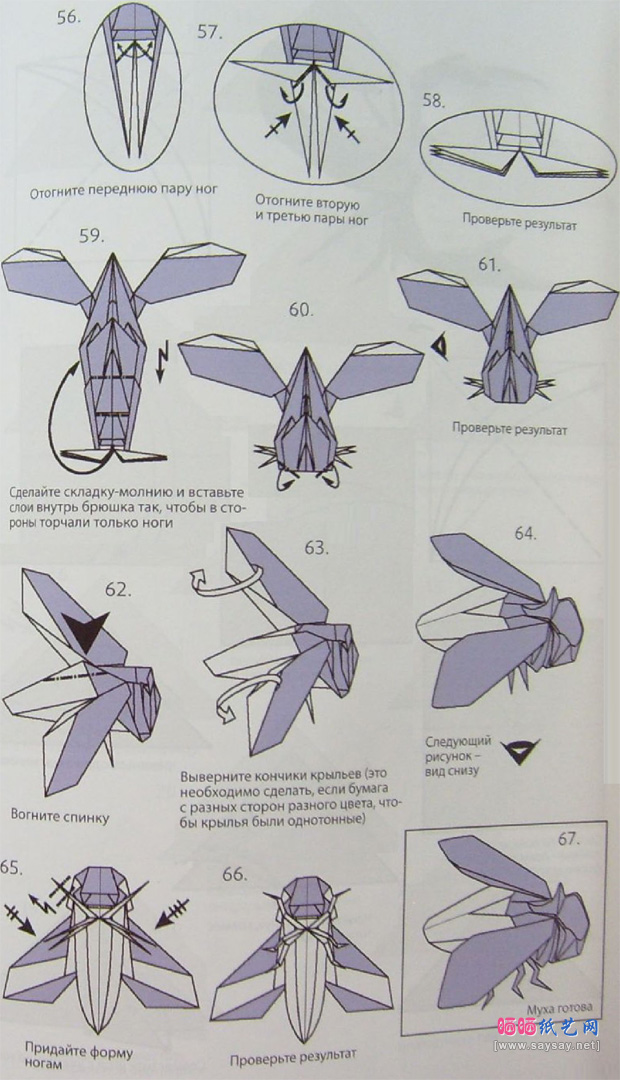 苍蝇手工折纸图谱教程步骤5-www.saybb.net