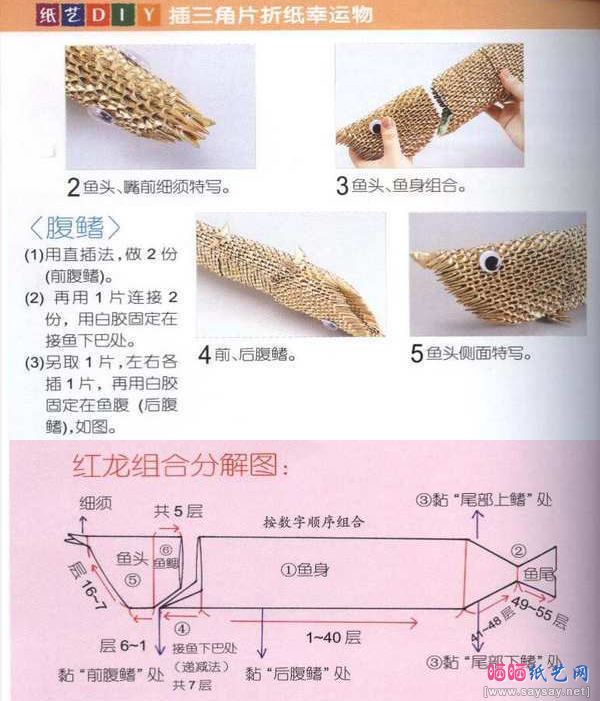 红龙鱼三角插折纸图文教程步骤2-www.saybb.net