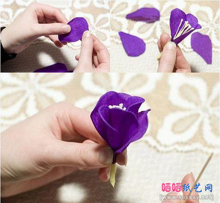 彩色皱纹纸手工制作藏红花的方法-www.saybb.net
