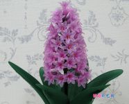 如何DIY丝网花风信子手工制作教程