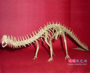 桃谷好英组合折纸教程梁龙骨骼的折法