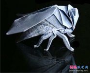苍蝇手工折纸图谱教程